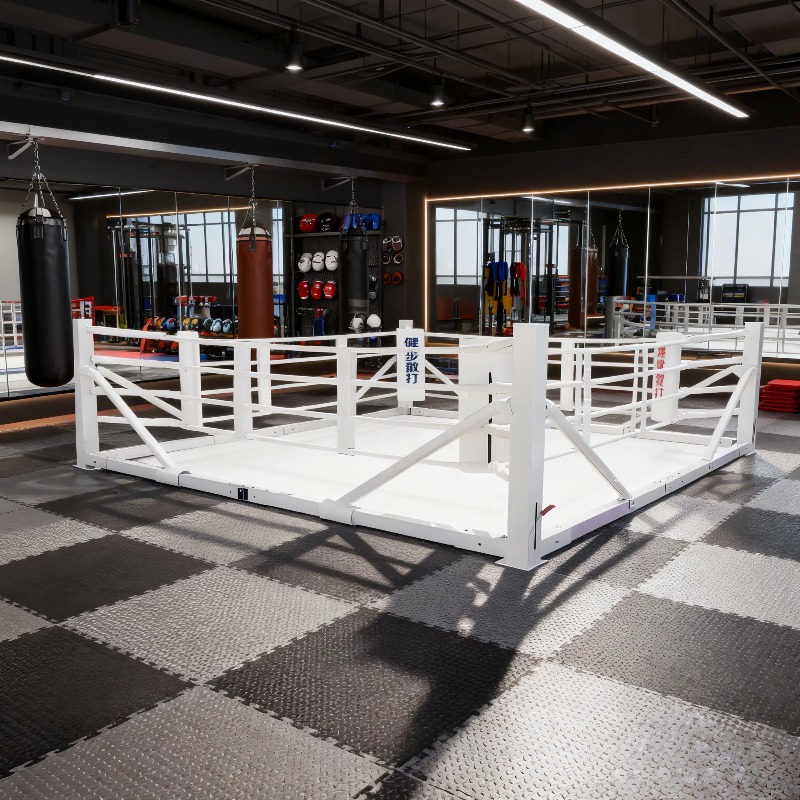 Opvouwbare boksringset, klein, - Home Gym Foldable recensie en prijs
